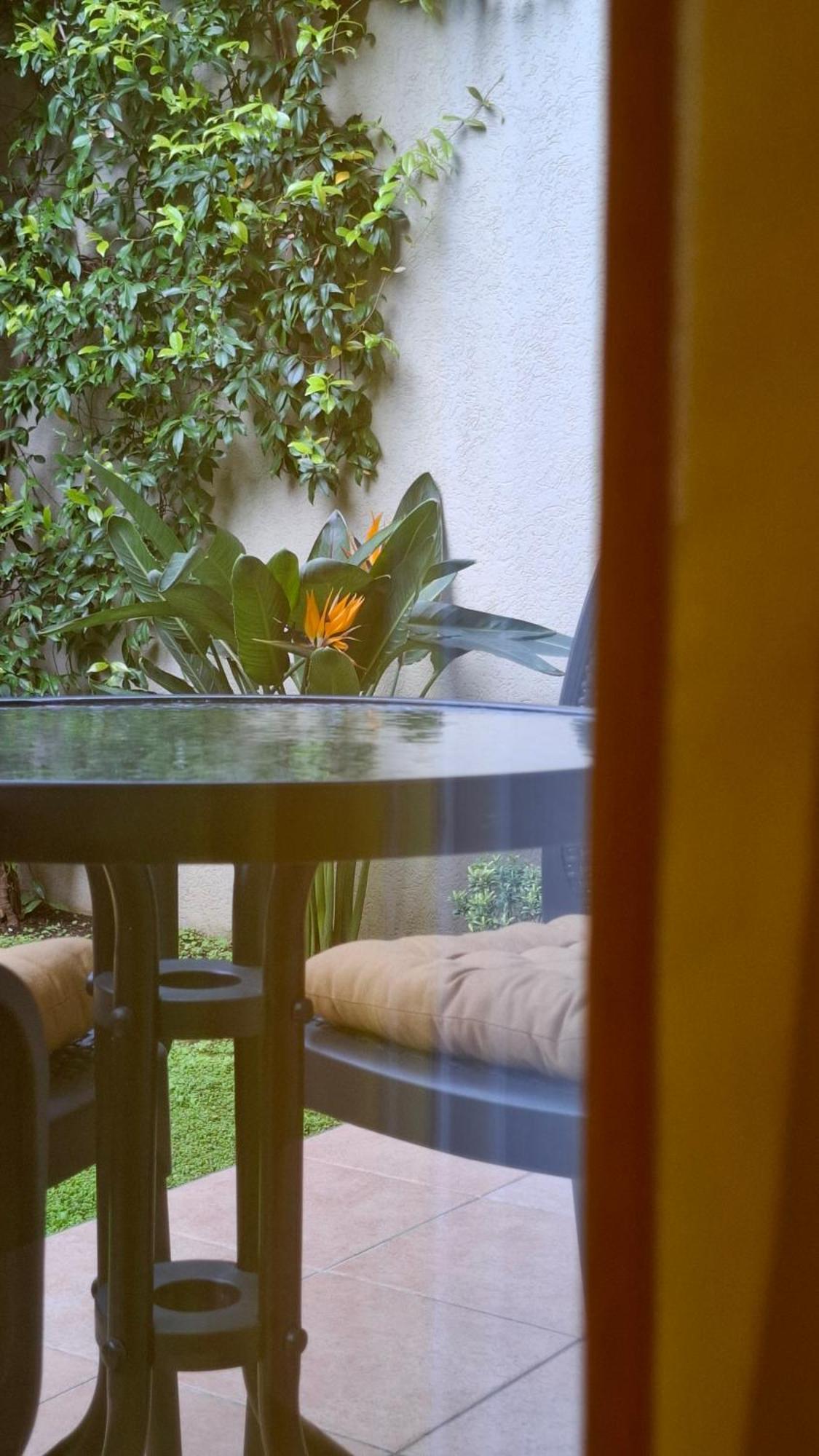 Apartman Stijepcic Herceg Novi Exterior photo
